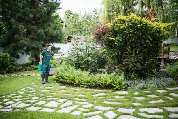 Best Pest Removal Services  in Liberty, MO