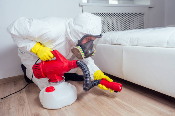 Best Pest Control Near Me  in Liberty, MO